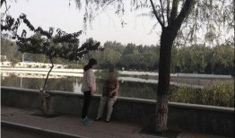 鲁山爆料最新消息今天,今日热点事件深度解析