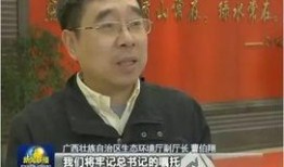 广西最新爆料新闻联播,聚焦民生热点，揭示社会现象