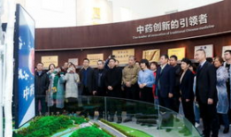 华润爆料最新消息视频播放,行业动态深度解析