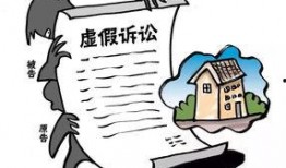 二八案虚假诉讼最新爆料,最新爆料揭露惊人内幕”