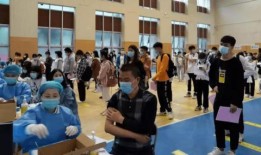 金鸣龙最新爆料消息,揭秘娱乐圈最新劲爆内幕