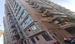 深圳龙华大浪最新爆料,揭秘大浪片区未来发展规划与亮点