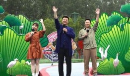 佛山罗村爆料最新消息视频,视频揭示惊人真相！